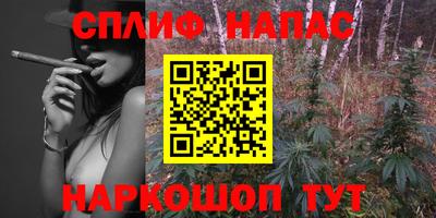 apvp Ливны