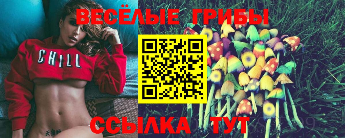 Псилоцибиновые грибы Magic Shrooms Гудермес